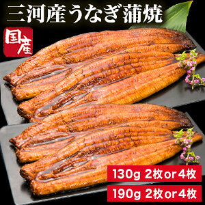 中2枚 or 中4枚 or 大2枚 or 大4枚 三河産うなぎ蒲焼 愛知県 三河産 うなぎ ウナギ 鰻 蒲焼 蒲焼き うな重 国産 国産ウナギ 国産うなぎ 国産鰻 セット 鰻の蒲焼 うなぎ割烹 一愼 うな重 土用の丑