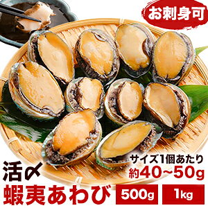 500g10~11 1kg20~22 Y ڈ΂ hg kE̕t Ar   z Ⓚ   CN C̍K H H ̏ݖ M o^[Ă  񂹃O 