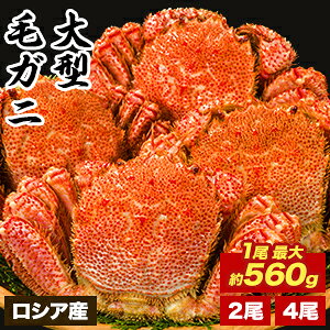 ylN[|zzz21.2kg 42.4kg ^{CуKj VAY ъI уKj  Jj  I {Cς {CуKj 䥂ō p ɂ݂ Jj݂ I݂ Ⓚ C