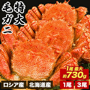 【お値引きクーポン配布中】北海道産 1尾 約730g or 北海道産 3尾 約2.2kg or ロシア産 3尾 約2.4kg 特大ボイル毛ガニ 国産 北海道産 毛蟹 毛ガニ カニ かに 蟹 ボイル済み ボイル毛ガニ かに茹で済