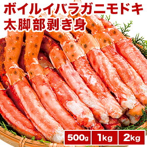 ylN[|zzz10~15{500g 20~30{1kg 40~60{2kg {CCoKjhL_g CoKjhL S[fLONu ΂炪ɂǂ ΂I CoI r 