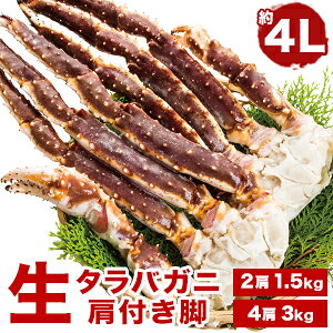 ylN[|zzz21.5kg or 43kg ^oKjtr 4L Hs ^oKj ΂  Jj I ^o  ĂKj  Jj̉l  H Ⓚ Mtg 