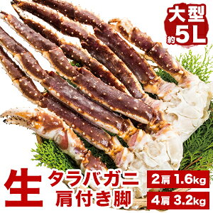 【期間限定SALE】約2肩2kg 約4肩4kg 大型生タラバガニ肩付脚 約5L 大型 生食不可 タラバガニ たらばがに かに カニ 蟹 生タラバ 生たらば 肩付き脚 タラバガニ肩付き脚 かにすき カニの王様 冷凍