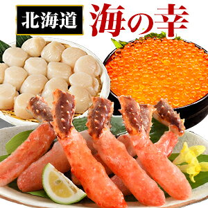 3 v640g kCC̍Klߍ킹 Y kCY ^oKj  z^e ΂  Jj I ɂhg g  ^o  CN ق  z^e  