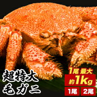 【特別クーポン配布中】1尾 約1.2kg 2尾 約2.4kg 超特大ボイル毛ガニ 国産毛蟹 毛ガニ かに茹で済 カニみ…