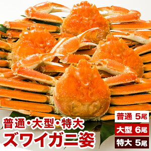 yԌSALEz52.4kg ^63.6kg 53.6kg {CYCKjp YCKj ^YCKj p 킢 킢I YCI Ip Jjp ɂ݂ I݂ {CY