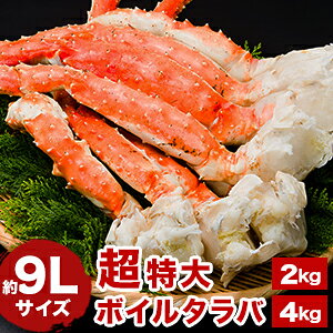 ylN[|zzz12kg 24kg 9LTCY ^oKjtr ^oKj ^oKjr ΂ ΂ɋr@^otr tr r  Jj I {C