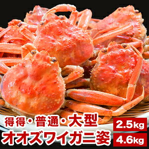 ylN[|zzz2.3kg 4.6kg ^2.3kg kCY{CIIYCKjp Y YCKj 킢 킢 IIYCKj I Jj p ɖX ɂ݂ I݂ 