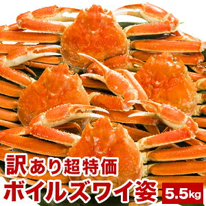 y20%OFFN[|zzz5.5kg 󂠂{CYCKjp YCKj 킢 YCI  Jj {CYC I݂ ɂ݂ ܂邲 䥂ō RXp e CN H  M
