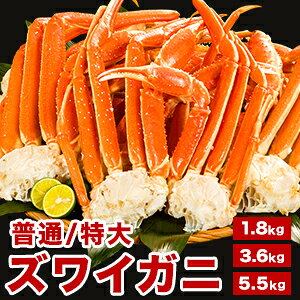 ylN[|zzz1.8kg 3.6kg 5.5kg ʁEYCKjtr({C) L~2L 3L YC YCKj 킢I YCI 킢ɋr {CYC tr 䥂ō {C