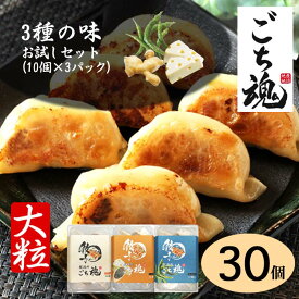 食べ比べ3種の味 お試しセット 10個×3パック 約1050g プレーン＋チーズ黒胡椒＋青とうがらし　新座餃子 国産餃子 おいしい餃子 美味しい 焼餃子 水餃子 冷凍餃子 絶品グルメ お取り寄せグルメ お中元 夏ギフト