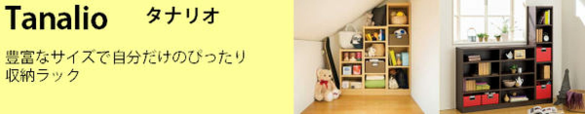 白井産業　タナリオ