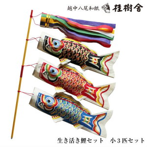 j 069 ̂ڂZbg3CZbg {̐Sz̘a