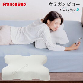 フランスベッド ウミガメピロー 枕 France Bed 銀イオン 除菌 うみがめ