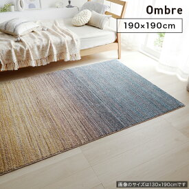 SUMINOE スミノエ カーペット オンブレー Ombre 190×190cm ラグ スペースラグ アクセントラグ 正方形 No.134-41094