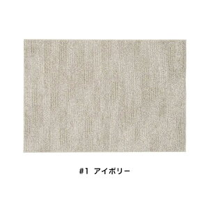 SUMINOE �X�~�m�G �J�[�y�b�g �􂦂� Sol �\�� 190×190cm ���O �X�y�[�X���O �A�N�Z���g���O �����` No.134-76130