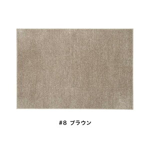 SUMINOE スミノエ カーペット 洗える Sol ソル 130×190cm ラグ スペースラグ アクセントラグ 長方形 No.134-76130