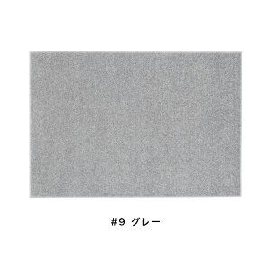 SUMINOE スミノエ カーペット 洗える Reflet ルフレ 190×240cm ラグ スペースラグ アクセントラグ 長方形 No.134-76157