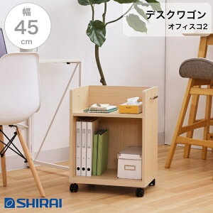 Y ItBXR2 fXNS ONA-6045P NA wʉϗL LX^[t