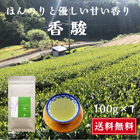 品種茶 香駿 100g 煎茶 新茶 送料無料 やさしい甘い香り おいしい 浅蒸し煎茶 お茶好きの方 普段のお茶と気分を変えたい 評判 国産 静岡県産 一番茶 贈答 ギフト プレゼント 産地直送 浅蒸し 浅蒸し煎茶 牧之原産 こうしゅん 茶葉