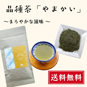 i풃 ܂ 100g  Iȍ Ԓ  [t  É Y  Β { qV  Y ] Mtg v[g   Yn 1Ԓ ÉY qV