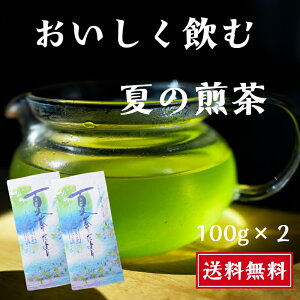 Ă̐ ÉYԂ uh 100g×2 20bg t [t o oΒ a݂Ȃ | ⒃  Β o o   ܂₩ Zł É