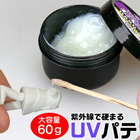 UV接着パテ UVPT ハード 60g ネコポス非対応 UV硬化 ペースト S＆F