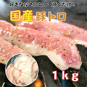 ő929~N[| yz؃g 1kg ؓ ؂Ƃ Pg ubN  Y Ⓚ 1L Ɩp ē BBQ o[xL[
