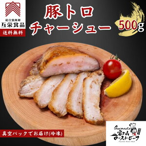ő929~N[| ؃g`[V[ 500g ؓ ؂Ƃ Pg ubN  Y Ⓚ Ɩp ē BBQ o[xL[ yz