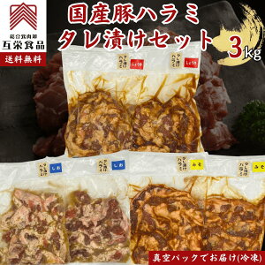 Y ؃n~ ^ЂZbg 3kg iݖAXAAe500g×2pbNj3L BBQ ē Ⓚ Ɩp yz