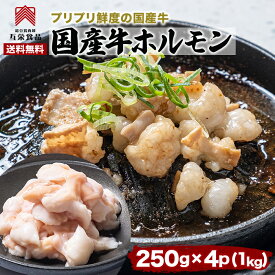 ■最大929円クーポン ホルモン 焼肉 1kg (250g × 4P) 国産 牛ホルモン 冷凍 テチャン コプチャン 牛もつ 1kg シマ 腸 ホルモン 大トロ 大腸 シマチョウ 焼肉セット 美味しい セット 業務用 もつ鍋用 焼き肉 国産牛 BBQ 牛モツ ホルモン鍋 和牛 もつ グルメ ギフト 送料無料