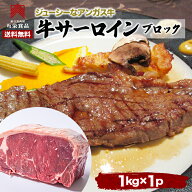 塊肉 送料無料 サーロインステーキ 1kg ブロック 訳あり ステーキ　バーベキュー　BBQ