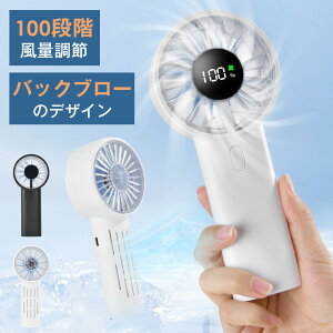 nfBt@ 莝@ 2025NVf 100iK 啗 4000mAh @ obNu[ nfB ^@ ~j@  [d  gѐ@ RpNg É ʋ usb y 