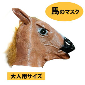 ñ}XN ]X^C RX`[p lpTCY V