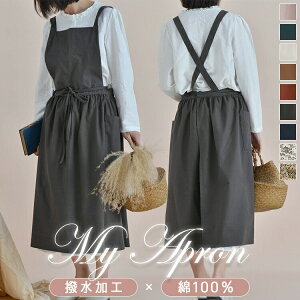 Gv n s[X Vv Rbg  | ۈm T |Pbg  i B JtF  [NGv fB[X p 100% O| 킢 
