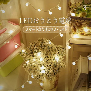 LEDƂd NX}XLEDC~l[V Op 6M LED h hJ NX}X  iCAK d Cg t   K[f  A  GgX  tFX 