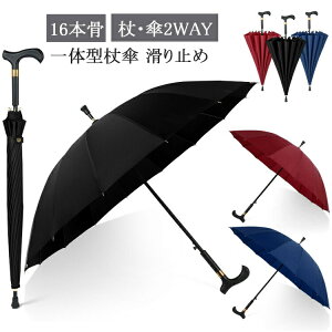  XebL P  16{ dݏ P Jp jp y ~ Y fB[X hV̓ v[g
