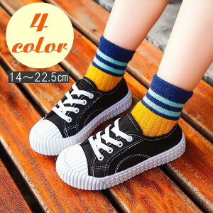 Xj[J[ LoXV[Y qC j̎q ̎q LbY WjA ^C SR Xb| ؂ [Jbg n    F ʊw Vv JWA