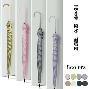 P P 傫 16{ n  ϋ OXt@Co[ ~J΍ ʊw ʋ