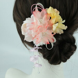   ܎O l   ̎q    U a Ǝ   q a  wAANZT[