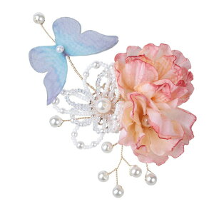   ܎O l   ̎q    U a Ǝ   q a  wAANZT[