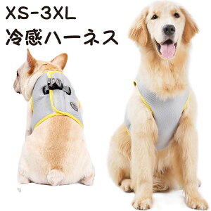  p n[lX  pN[xXg ⊴ pxXg ʋC MǑ΍ Ăh o U N[ Ђ ⊴xXg p ڐG⊴ ΍ OK  킢 