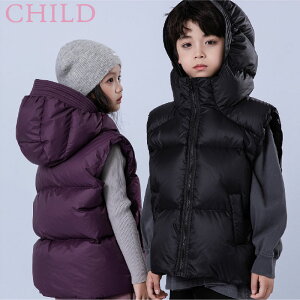 _ExXg t[ht |Pbg t@Xi[ q g H ~ ̎q j̎q n Vv JWA LbY WjA AEghA o h H~ ʉ ʊw AE^[ S3