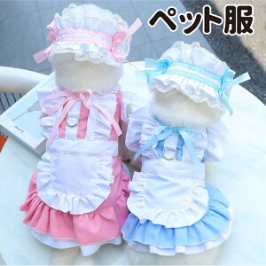  L Ch RXv s[X m [X  L  t  H DJt RX`[ G ybg ^ L hbOEFA іh~ ƒ o U ̕ 