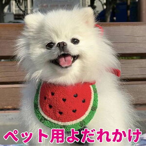 ybgp 悾ꂩ XCJ ybgpo_i X^C hbOEFA ANZT[ XJ[t   t^I L ^ ^ p Lp CX^f LOBe O| v[g y