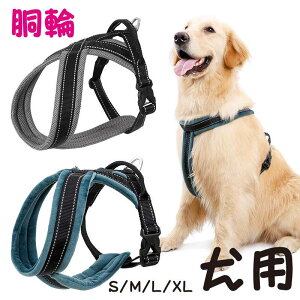  n[lX  ɂ EȂ Eɂ ^ ^ ^ Ȃ AEghA  킢 3M ybgp hbO p o ybg  U v[g 