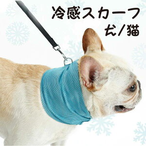  p L Lp ⊴ Ђ ⊴XJ[t lbNXJ[t N[lbN zn p lbNN[[ N[o_i y ڐG⊴ ΍ OK  킢 ybg  pX