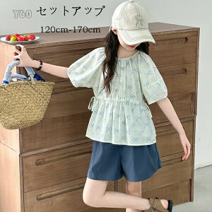 ؍q ̎q  ZbgAbv LbY ㉺Zbg 킢   Vc+V[gpc 2_Zbg K[Y  ĕ gbvX V[c v[g s ][g o