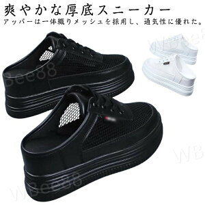 bVXj[J[ fB[X ƂȂXj[J[ ʋC  T_ T{T_ Xj[J[ bV [Jbg [t@[ ƂȂV[Y Xb| ʋC y  