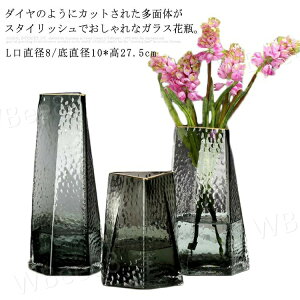  yLTCYzԕr k S[h  KX t[x[X 傫ԕr  傫TCY 27.5cm }  CeA NA